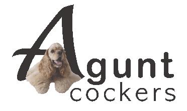 Agunt